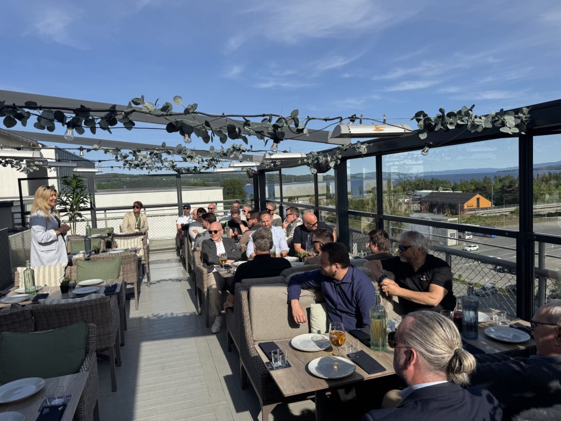 PI-Taket i linnt sammarsvær